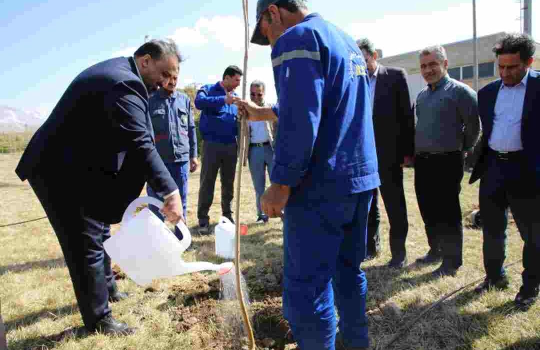 به مناسبت روز درختکاری انجام پذیرفت: کاشت نهال از سوی مدیرعامل پتروشیمی شازند