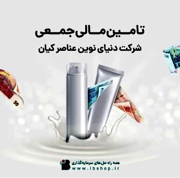 تامین مالی جمعی شرکت دنیای نوین عناصر کیان