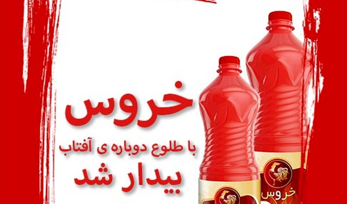 خروس با طلوع دوباره ی آفتاب بیدار شد