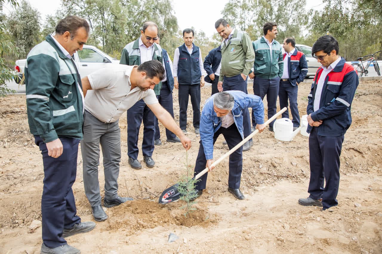 مدیران و کارکنان شرکت فولاد آلیاژی ایران نهال غرس کردند