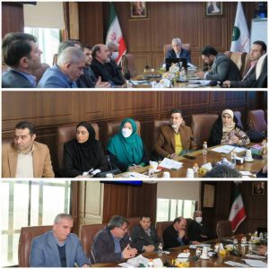 سازمان نظام صنفی رایانه