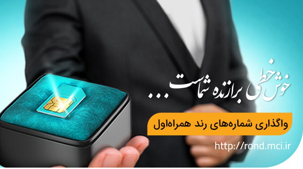 1736159324220-CDX4