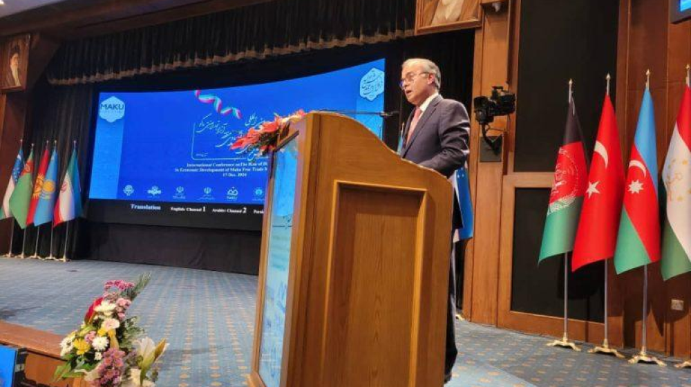نقش دیپلماسی در توسعه اقتصادی منطقه آزاد تجاری-صنعتی ماکو