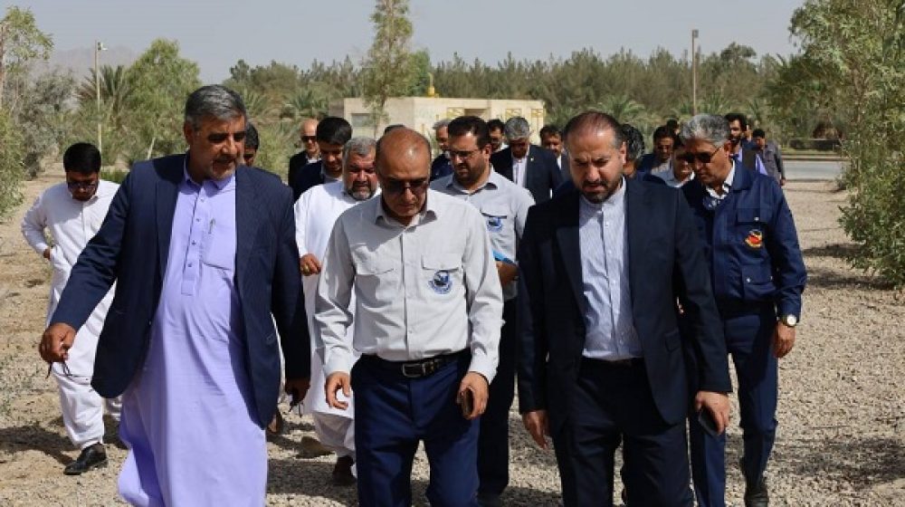 بازدید