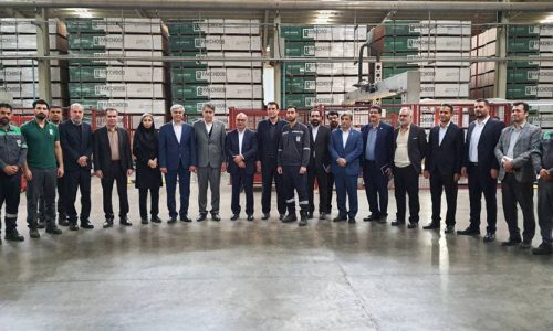 بازدید
