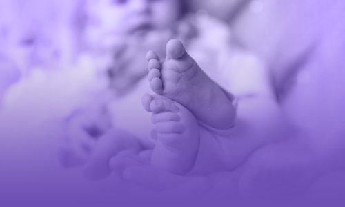 بانک اقتصادنوین؛