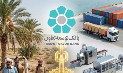 بانک توسعه تعاون؛