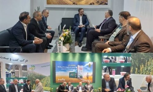 بانک کشاورزی؛