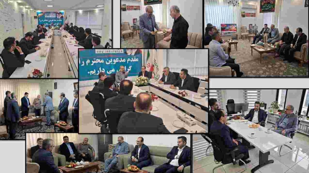 بیمه-دی-4