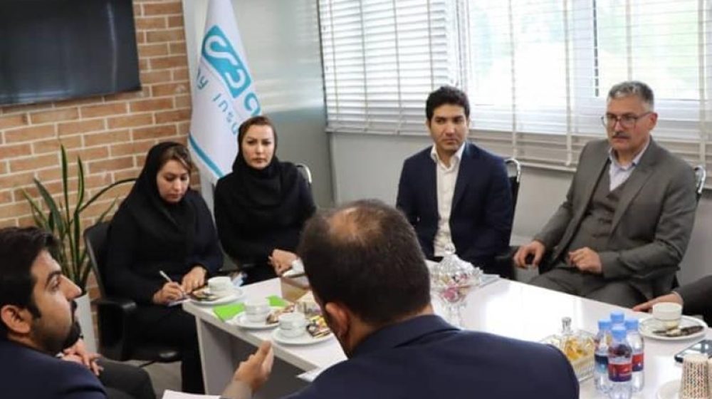 بیمه دی؛