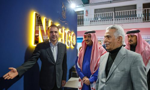 شرکت ملی صنایع مس ایران