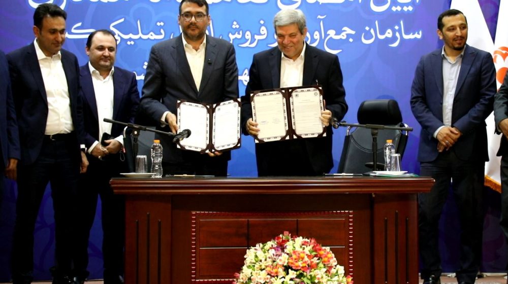 شسیلد