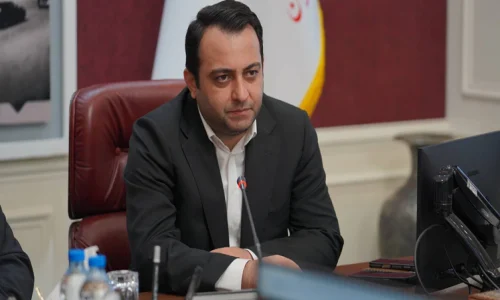 محسن-سیفی-مدیرعامل-بانک-ملی-ایران