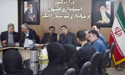 مدیرعامل بانک توسعه تعاون