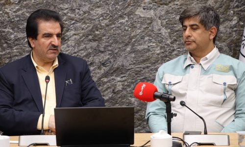مدیرعامل بانک رفاه کارگران