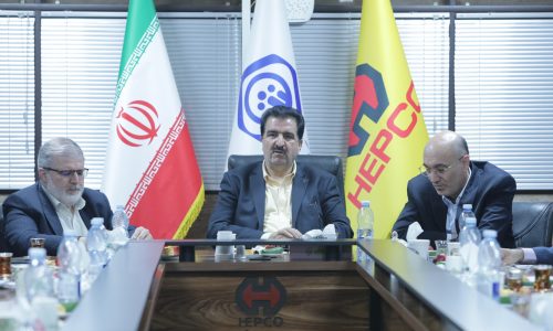 مدیرعامل هلدینگ هپکو