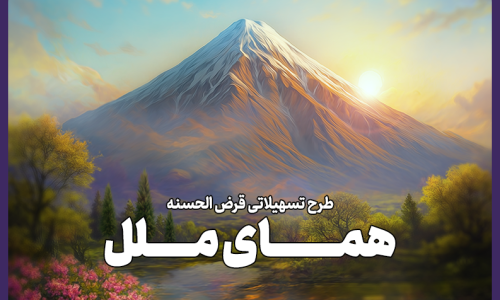 موسسه اعتباری ملل