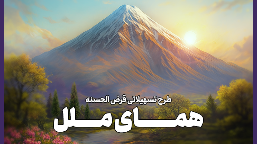 موسسه اعتباری ملل