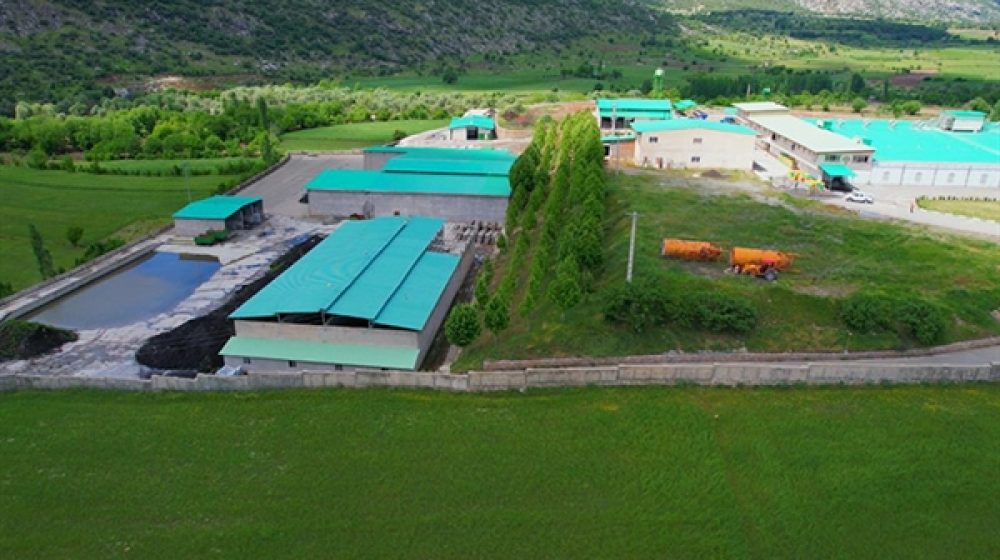 کشاورزی