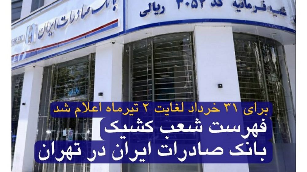 یانک صادرات